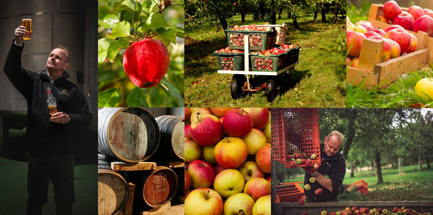 Refreshingly Welsh cider