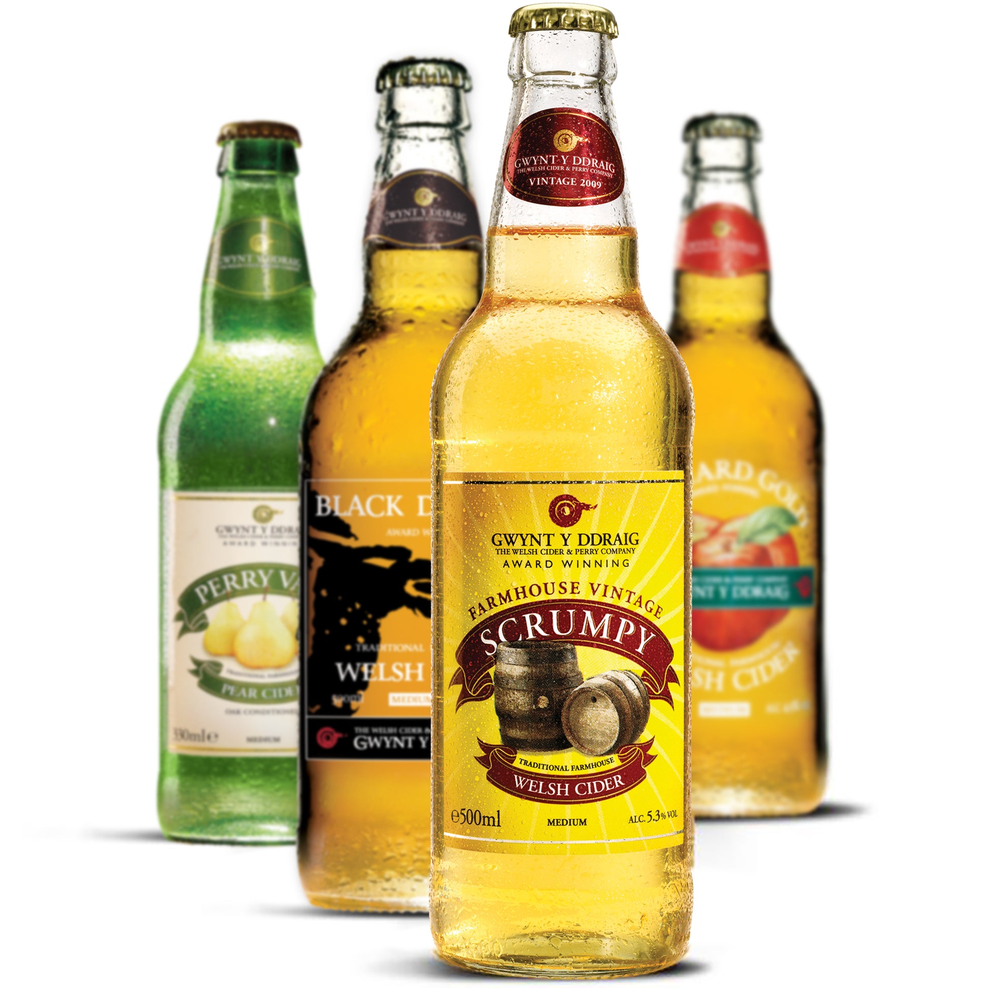 Bottled Cider Gwynt y Ddraig