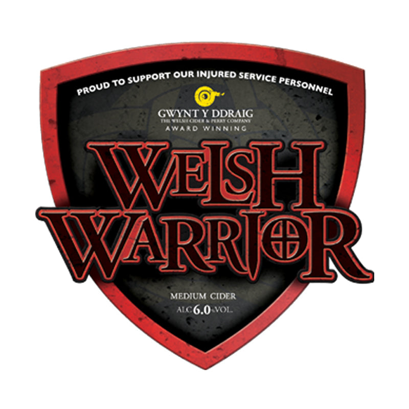 Welsh Warrior